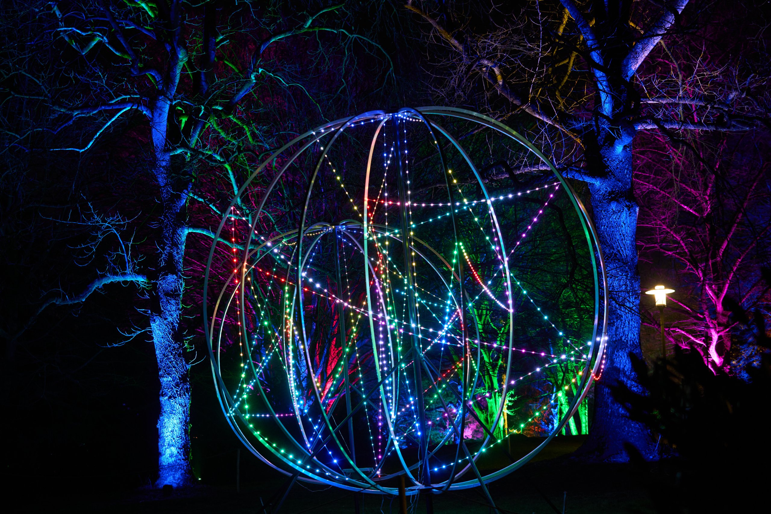 2025 02 04 Parkleuchten 0314